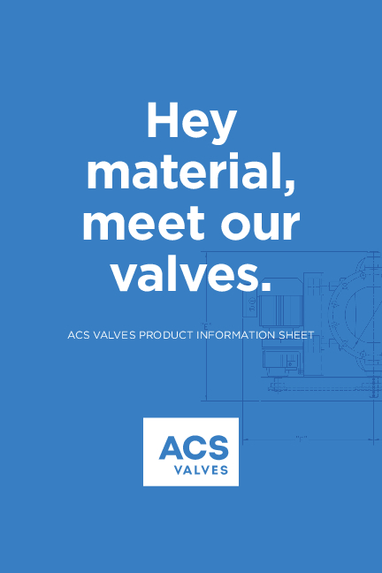 ACS Valves Product Information Sheet